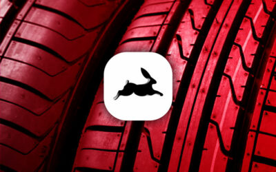 go rabbit logo and tyres